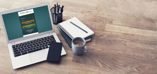 SLP Quick Start Guide for Mentors